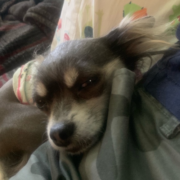 Meet your Posher, Caroline - Picture 3 of 3